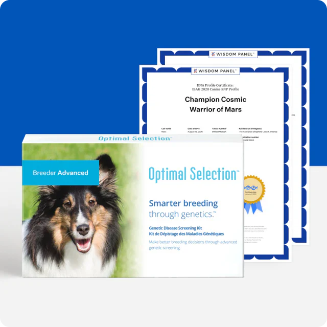 Optimal Selection Advanced - Canine