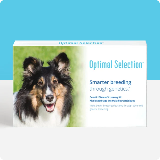 Optimal Selection™ Canine