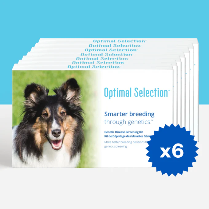 Optimal Selection™ Canine Litter Pack