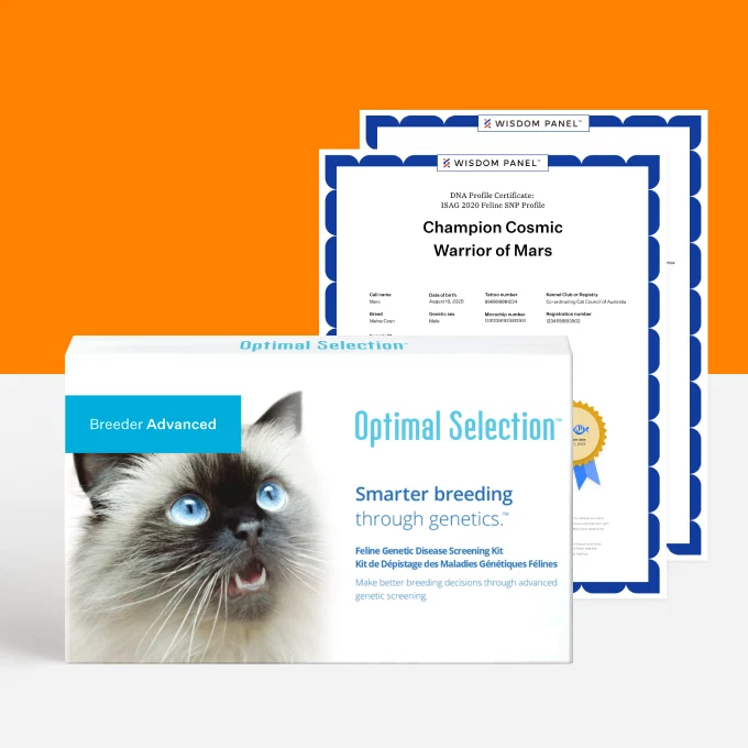 Optimal Selection Advanced - Feline