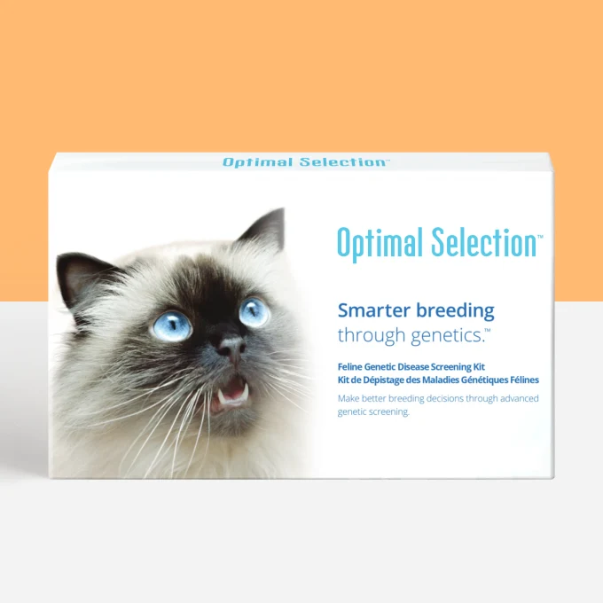 Optimal Selection™ Feline