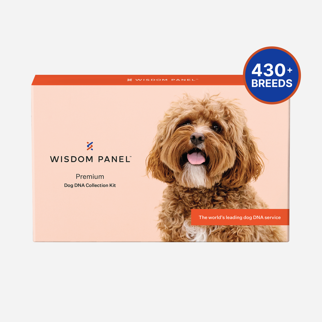 Wisdom Panel™ Premium + Complete for Cats Bundle
